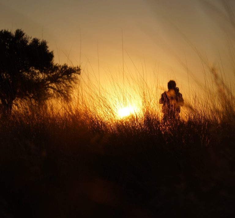 Fotografieren im Abendlicht Namibias Silhouette eines Fotografen im hohen Gras bei Sonnenuntergang in Namibia.